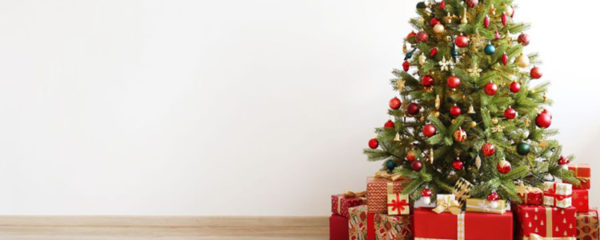 sapin